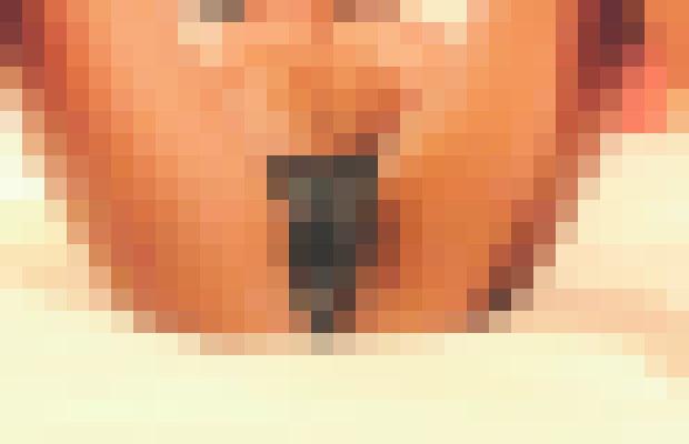 princesss Reno, Nevada Escort, Massage, Verified Adult Service Provider, Companion in United States | 6
