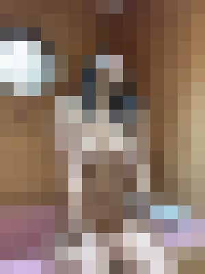 NATALIA MONTANA New York Escort, BDSM, DUO, Couple, Massage, Verified Adult Service Provider, Companion in United States | 8