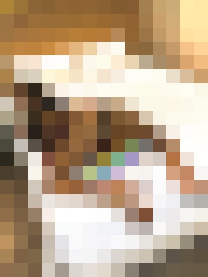 Sassyseven Orange County, California Escort, Pornstar, BDSM, Massage, Verified Adult Service Provider, Companion in United States | 10