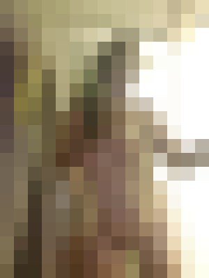 patricia84 Houston, Texas Escort, , Verified Adult Service Provider, Companion in United States | 7
