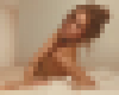 maryXXX Minneapolis, Minnesota Escort, Pornstar, BDSM, DUO, Verified Adult Service Provider, Companion in United States | 14
