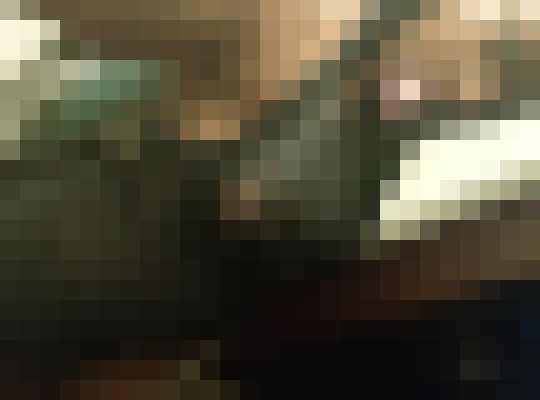 Chocolate 22 Dallas, Texas Escort, Pornstar, BDSM, DUO, Massage, Verified Adult Service Provider, Companion in United States | 2