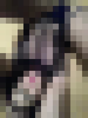 TallThick Portland, Oregon Escort, , Verified Adult Service Provider, Companion in United States | 11