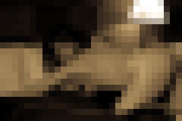 JadexLovely Tampa, Florida Escort, Pornstar, BDSM, Verified Adult Service Provider, Companion in United States | 3