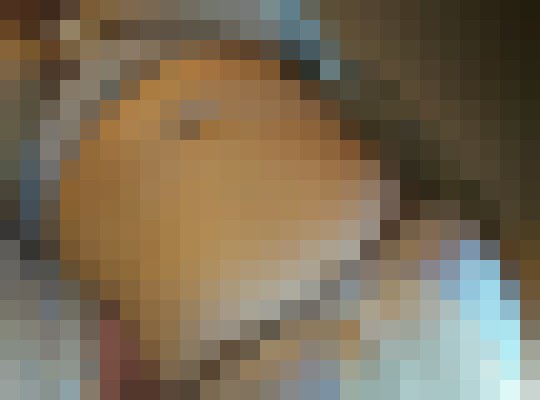 Cherokee96 Tampa, Florida Escort, Pornstar, Couple, Verified Adult Service Provider, Companion in United States | 5