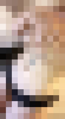 angelka Las Vegas, Nevada Escort, Pornstar, BDSM, DUO, Verified Adult Service Provider, Companion in United States | 8