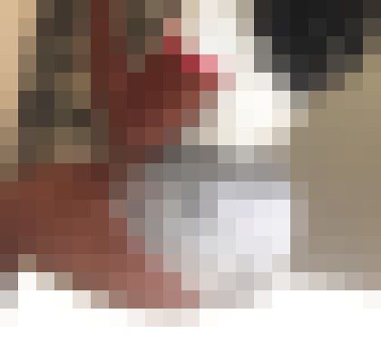 Jasmine Fawn Little Rock, Arkansas Escort, BDSM, DUO, Couple, Verified Adult Service Provider, Companion in United States | 4