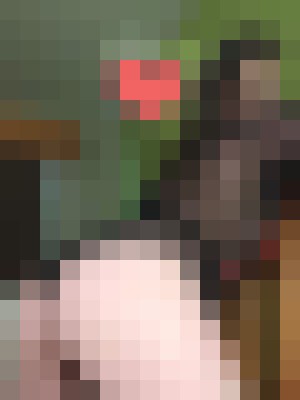 HeavenLeigh421 Davenport, Iowa Escort, Pornstar, BDSM, DUO, Couple, Massage, Verified Adult Service Provider, Companion in United States | 17
