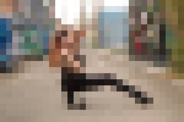 Amber_Lee Denver, Colorado Escort, DUO, Verified Adult Service Provider, Companion in United States | 11