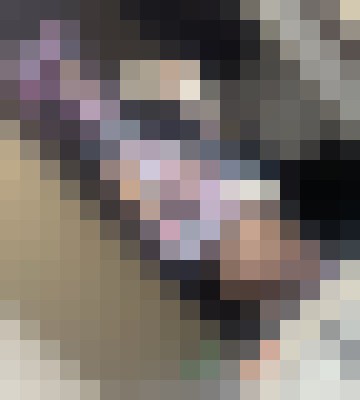 Jass17 Milwaukee, Wisconsin Escort, Pornstar, BDSM, Verified Adult Service Provider, Companion in United States | 10