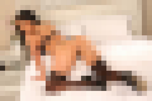Kelly Ryan Los Angeles, California Escort, , Verified Adult Service Provider, Companion in United States | 14