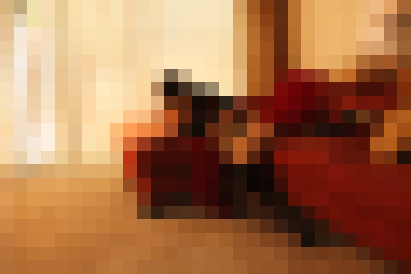 SexyS04 Tampa, Florida Escort, Pornstar, Verified Adult Service Provider, Companion in United States | 4