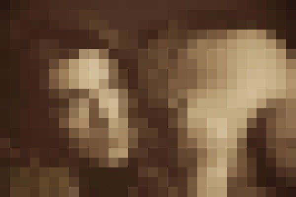SullySavage Las Vegas, Nevada Escort, Pornstar, BDSM, DUO, Couple, Verified Adult Service Provider, Companion in United States | 13
