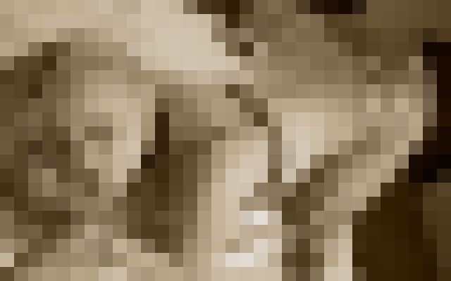 SkyXXX Olympia, Washington Escort, Pornstar, DUO, Massage, Verified Adult Service Provider, Companion in United States | 5