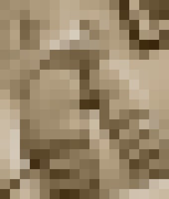 SkyXXX Olympia, Washington Escort, Pornstar, DUO, Massage, Verified Adult Service Provider, Companion in United States | 6