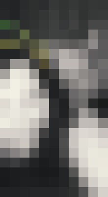 KandieSweetbits Chicago, Illinois Escort, , Verified Adult Service Provider, Companion in United States | 2
