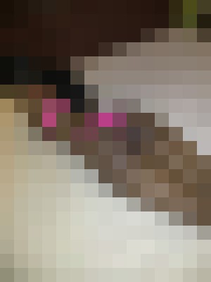 Chardae Chicago, Illinois Escort, Pornstar, Verified Adult Service Provider, Companion in United States | 11