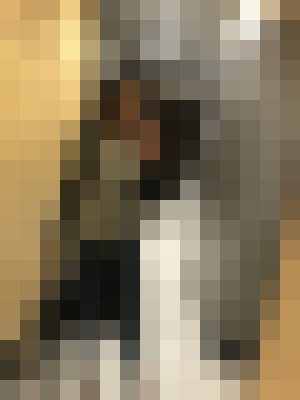 GoddessAmber Farmington, New Mexico Escort, Pornstar, BDSM, DUO, Couple, Verified Adult Service Provider, Companion in United States | 11