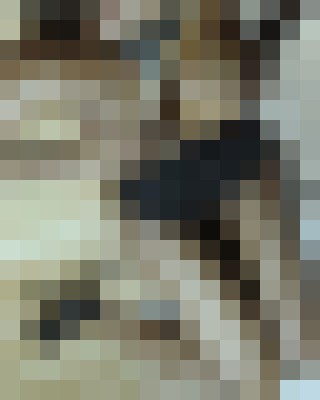 HOTEBONY231 Leeds Escort, Pornstar, DUO, Couple, Massage, Verified Adult Service Provider, Companion in United Kingdom | 2