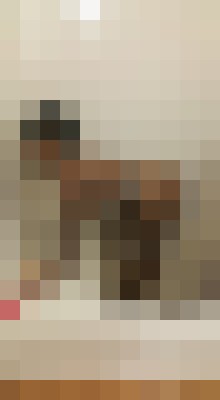 Kelliekisses69 San Jose Escort, Massage, Verified Adult Service Provider, Companion in Costa Rica | 14