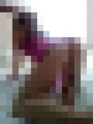 Evie Lovergirl Pittsburgh, Pennsylvania Escort, , Verified Adult Service Provider, Companion in United States | 9