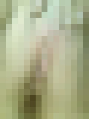 HXXX Rochester, New York Escort, , Verified Adult Service Provider, Companion in United States | 2