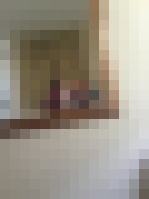 bootynikki Fairfield, Connecticut Escort, , Verified Adult Service Provider, Companion in United States | 7