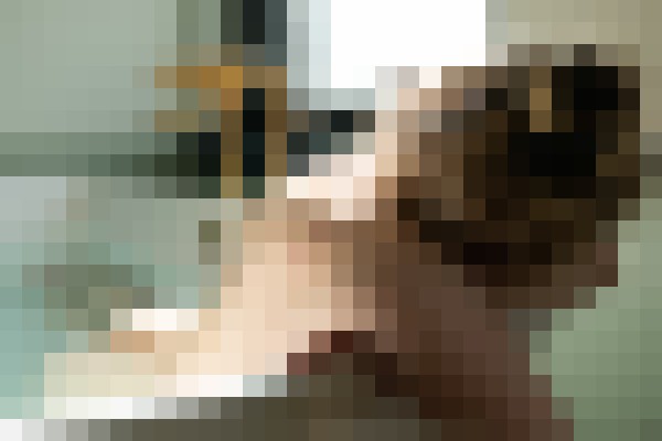 LyraTradgard Los Angeles, California Escort, BDSM, Couple, Verified Adult Service Provider, Companion in United States | 5