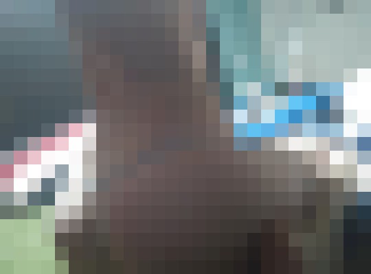 Ayla_ Fort Worth, Texas Escort, , Verified Adult Service Provider, Companion in United States | 9