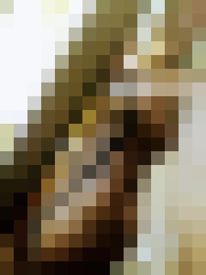 Ms Kitty Little Rock, Arkansas Escort, , Verified Adult Service Provider, Companion in United States | 4