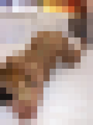 Callie_ Las Vegas, Nevada Escort, Pornstar, DUO, Couple, Massage, Verified Adult Service Provider, Companion in United States | 7