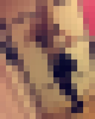 Missouri Bridget Springfield, Massachusetts Escort, , Verified Adult Service Provider, Companion in United States | 4