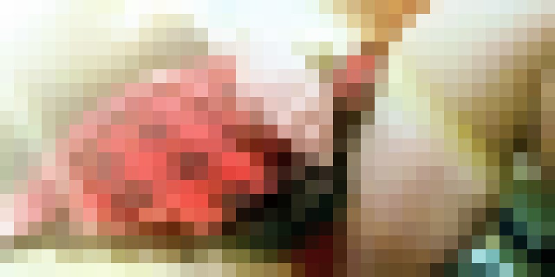 Anna nicole hollywood Boise, Idaho Escort, Pornstar, Verified Adult Service Provider, Companion in United States | 9