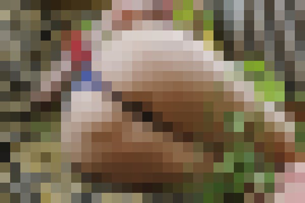 RococoRoyalle Minneapolis, Minnesota Escort, , Verified Adult Service Provider, Companion in United States | 7