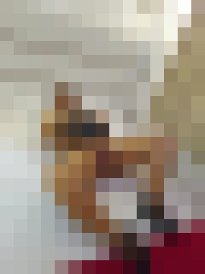 slaveliz New York Escort, BDSM, Verified Adult Service Provider, Companion in United States | 11