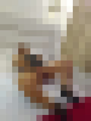 slaveliz New York Escort, BDSM, Verified Adult Service Provider, Companion in United States | 13