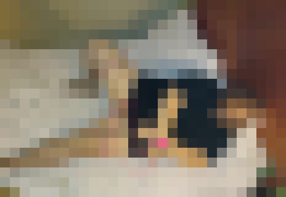 sarah1 Augusta-Richmond County, Georgia Escort, , Verified Adult Service Provider, Companion in United States | 8
