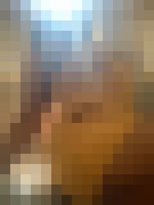 Mylette Charles Atlanta, Georgia Escort, , Verified Adult Service Provider, Companion in United States | 9