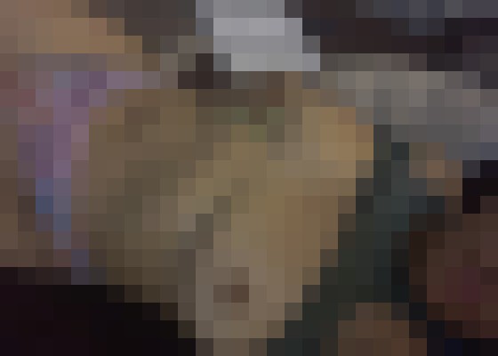 sexyflower Albany, New York Escort, BDSM, DUO, Couple, Massage, Verified Adult Service Provider, Companion in United States | 5