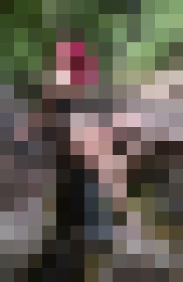 Autumn Adams Phoenix, Arizona Escort, , Verified Adult Service Provider, Companion in United States | 7