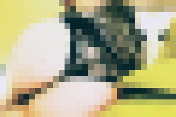 queenX Washington DC Escort, , Verified Adult Service Provider, Companion in United States | 2