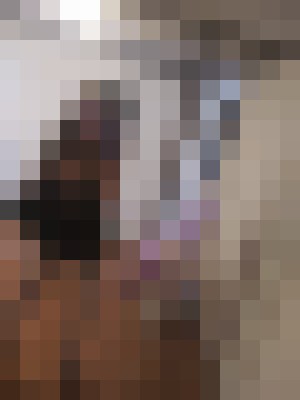 Victoria Dawn Chicago, Illinois Escort, Pornstar, Verified Adult Service Provider, Companion in United States | 6