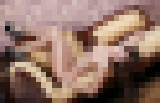 Sexy Lena Saint Petersburg Escort, , Verified Adult Service Provider, Companion in Russia | 3