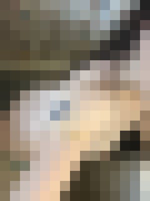 AlisaX Fort Walton Beach, Florida Escort, , Verified Adult Service Provider, Companion in United States | 7