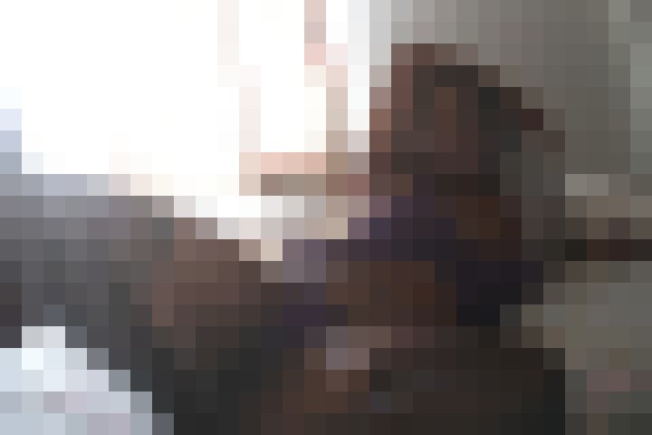 Babydoll Rose Greensboro, North Carolina Escort, Pornstar, Verified Adult Service Provider, Companion in United States | 7