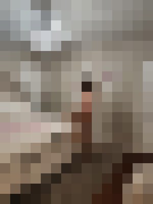 Victoria Muse Asheville, North Carolina Escort, DUO, Verified Adult Service Provider, Companion in United States | 10
