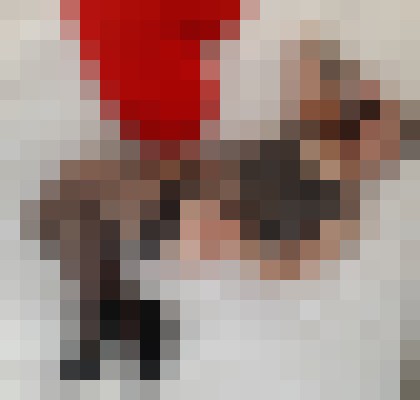 Petite Karla Philadelphia, Pennsylvania Escort, Pornstar, Couple, Verified Adult Service Provider, Companion in United States | 18