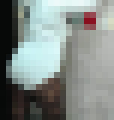 Feltonlashanda Killeen, Texas Escort, , Verified Adult Service Provider, Companion in United States | 4