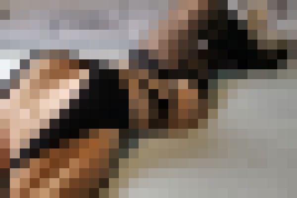 Asian Kate Houston, Texas Escort, , Verified Adult Service Provider, Companion in United States | 5
