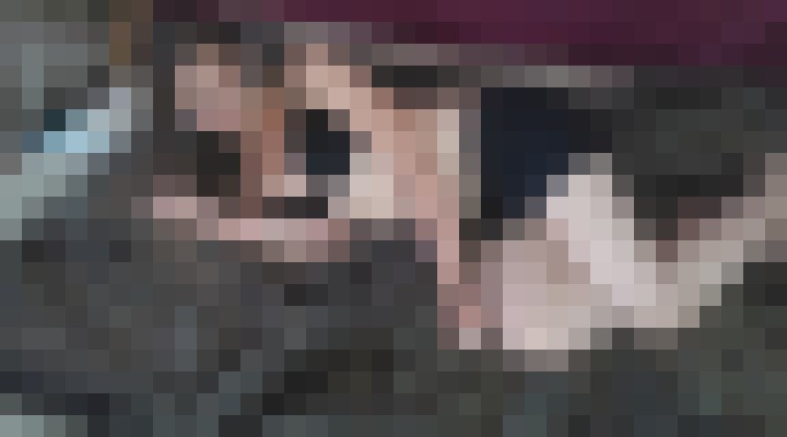 Brittany Foxx Oakland, California Escort, BDSM, Couple, Massage, Verified Adult Service Provider, Companion in United States | 5